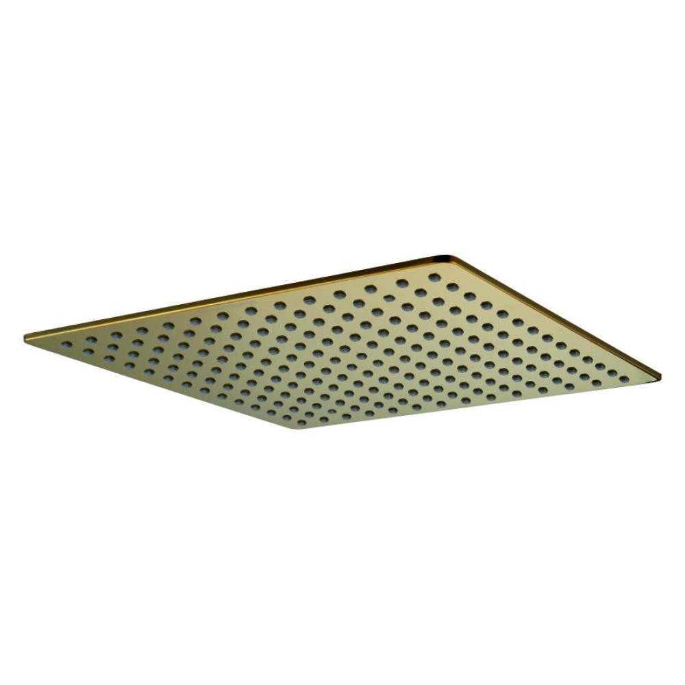 Rain Shower 12”x12” (200mm) with Rubbit  Cleaning System Brass